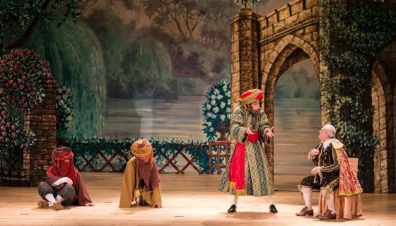 Мюзикл «Собака на сене»